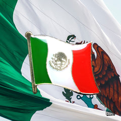 Pin – Flag of Mexico from National Symbols – Mexican Heritage