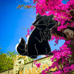 Pin – Meeko de Pocahontas – Disney Fantasy