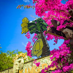 Pin – Baloo de El libro de la selva – Disney Fantasy